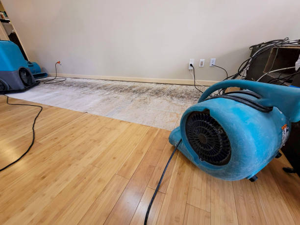 Professional Basement Flood Cleanup technician working in West Bend, WI